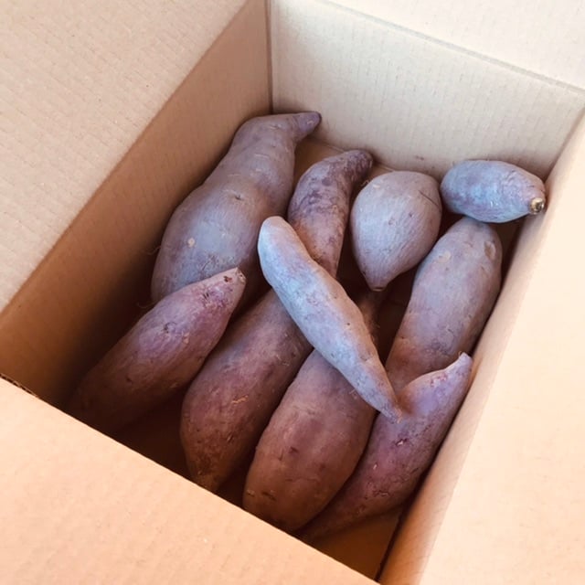 自然栽培】1.5kgさつま芋シルクスイート | 自然栽培まんまファーム
