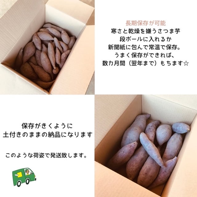 自然栽培】1.5kgさつま芋シルクスイート | 自然栽培まんまファーム 自然栽培】1.5kgさつま芋シルクスイート | 自然栽培まんまファーム
