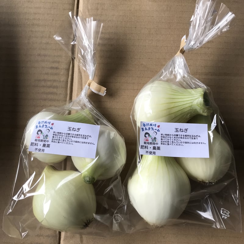 自然栽培】肥料農薬を使わずに育てた新玉ねぎ1.5kg | 自然栽培まんま