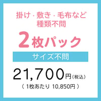ふとん丸ごと水洗い ２枚パック（サイズ不問）
