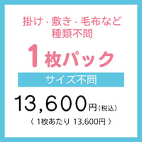 ふとん丸ごと水洗い １枚パック（サイズ不問）