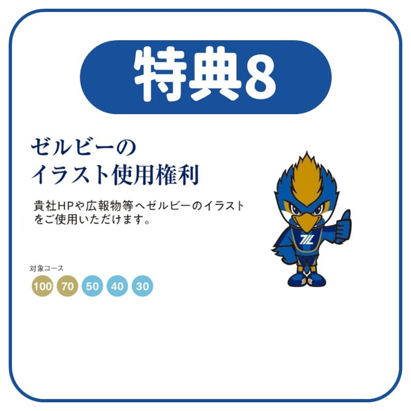 ZELVIA ASSIST2025【100万円コース】 | FC MACHIDA ZELVIA