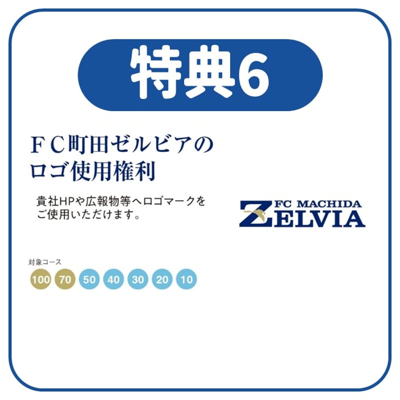 ZELVIA ASSIST2025【10万円コース】 | FC MACHIDA ZELVIA