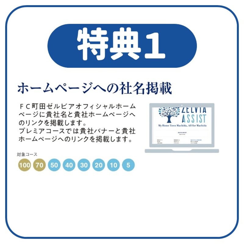 miiセルディアページ AmiAmi [Character & Hobby Shop] | Belongs to Mars District