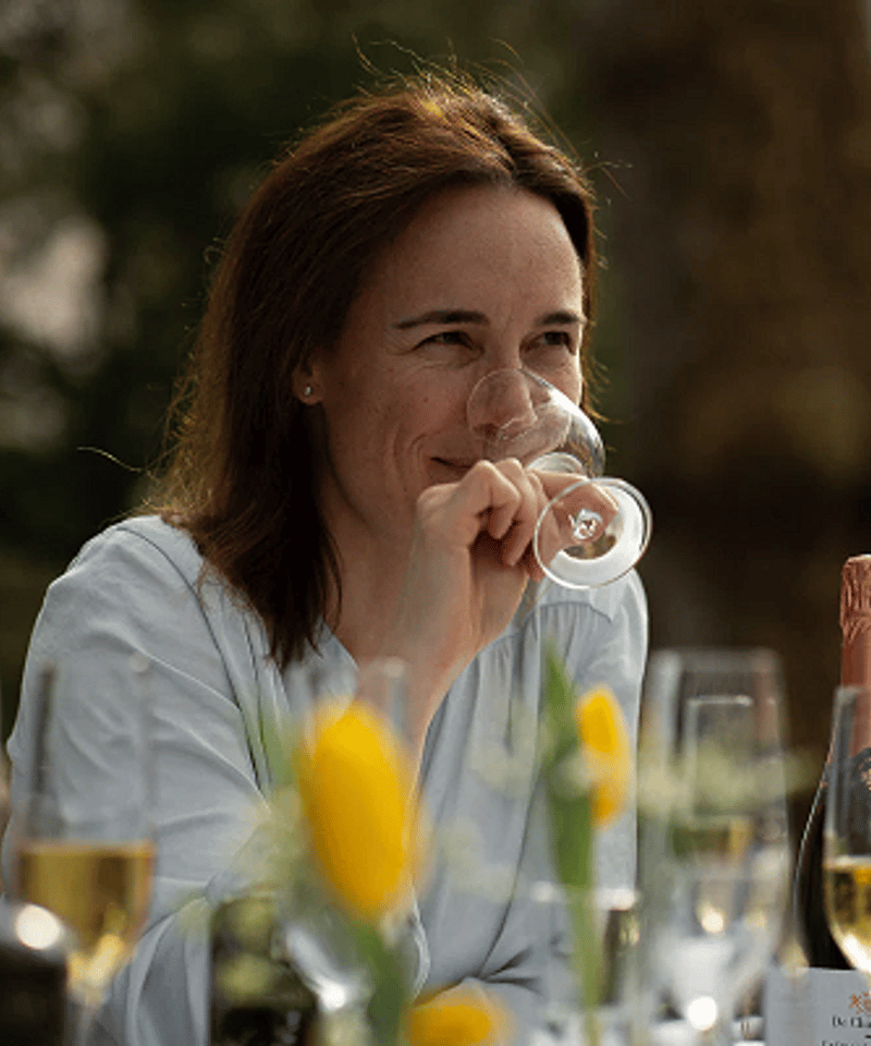 New!! ノックニーアンの実験「ハントレス」シリーズの2025年版！】NC