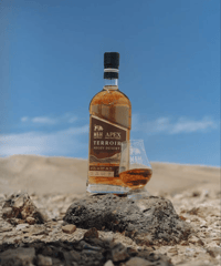 蒸留所オフィシャルのシングルカスク！】M&H APEX SINGLE CASK Fortif