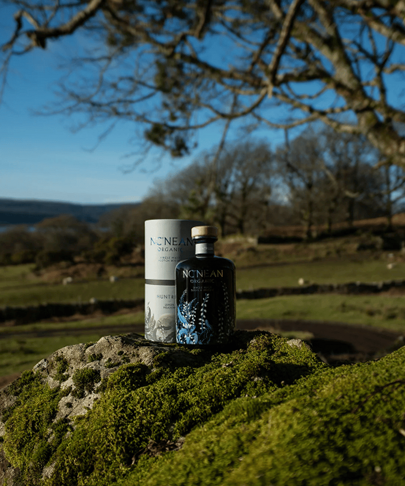 New!! ノックニーアンの実験「ハントレス」シリーズの2025年版！】NC