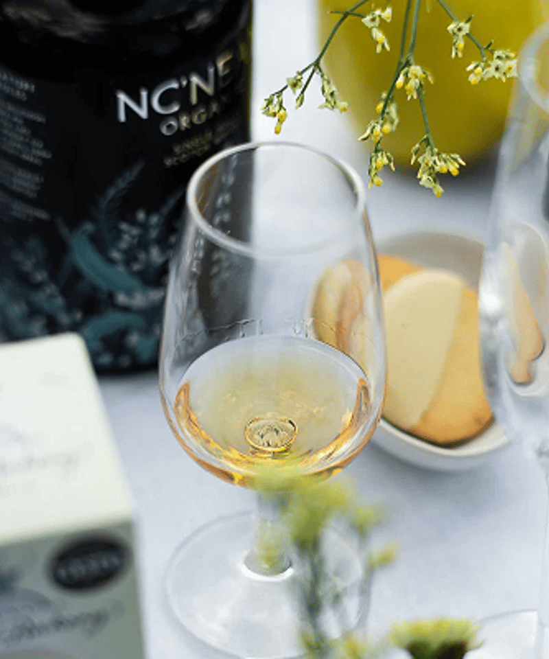 New!! ノックニーアンの実験「ハントレス」シリーズの2025年版！】NC