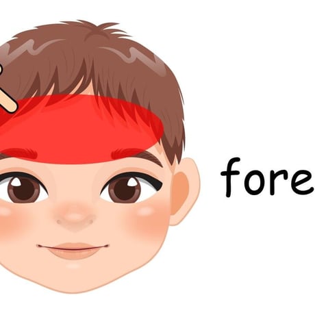 FACE PARTS WHERE IS?　男の子ver.