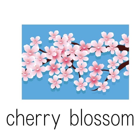 April【4月】　フラッシュカード