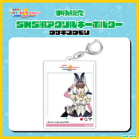けものフレンズV LIVE はろーじゃぱん アクリルブロック ウサギコウモリ けものフレンズV LIVE♪ はろー じゃぱん！】アクリルブロック ウサギ