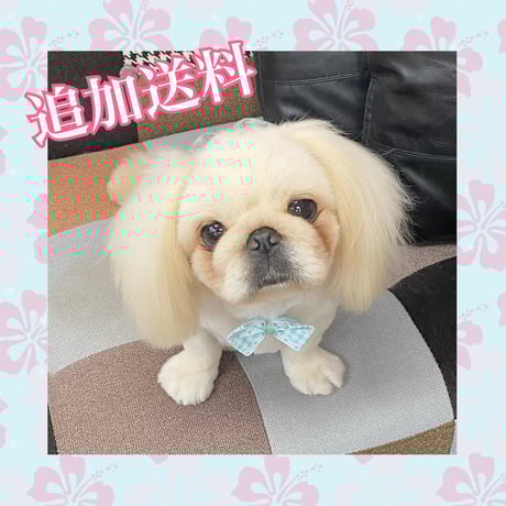SALE⬇️古琉球　二彩　徳利　瓶 SALE⬇️古琉球 二彩 徳利 瓶 SALE⬇️古琉球 二彩 徳利 瓶