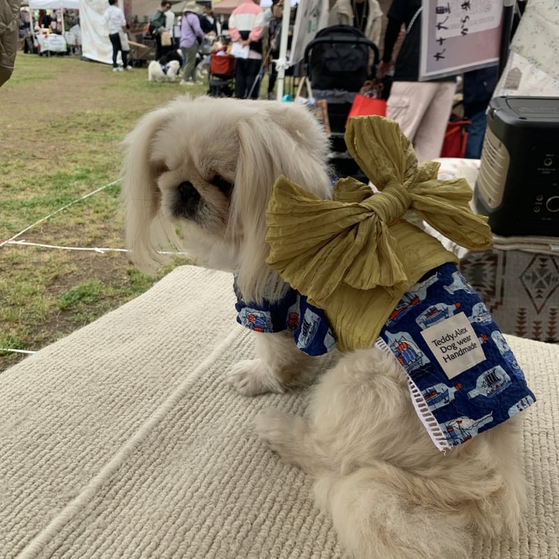 大型犬甚平浴衣 5L 〜 8L ボトルシップネイビー | Teddy.Alex_Dog wear