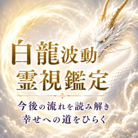 【特別価格】白龍波動霊視鑑定