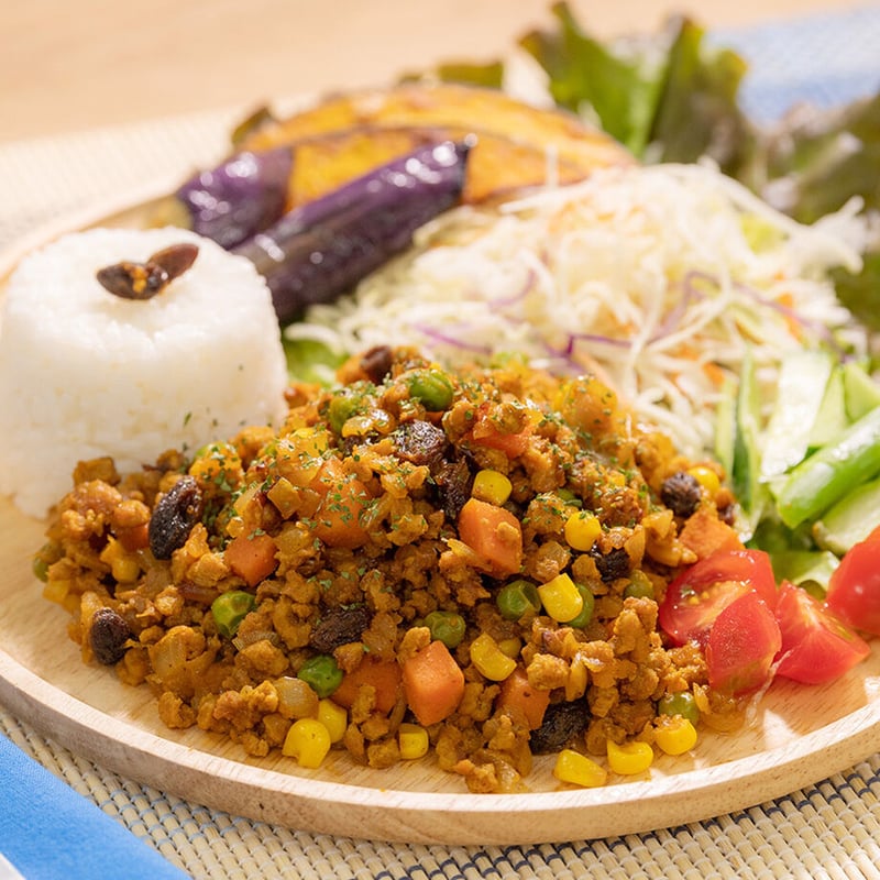乾燥大豆ミート まんま大豆・ミンチタイプ 100g | まんま大豆 ONLINE STORE