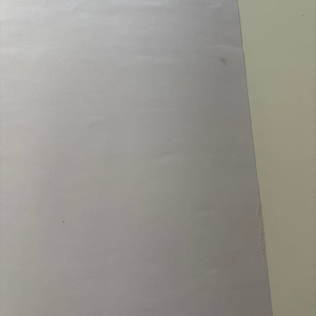 TIMO SARPANEVA Exhibition Poster 2015