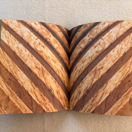 Curly Birch Visakoivu 洋書