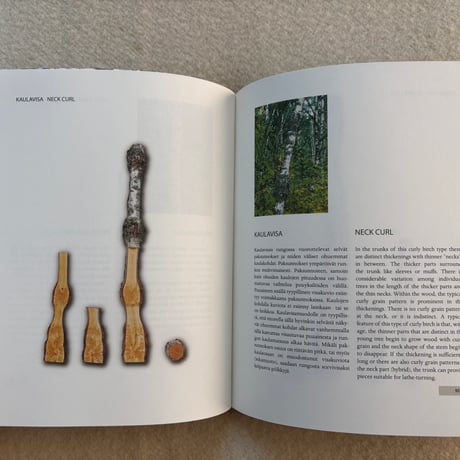 Curly Birch Visakoivu 洋書