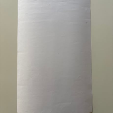 TIMO SARPANEVA Exhibition Poster 2015