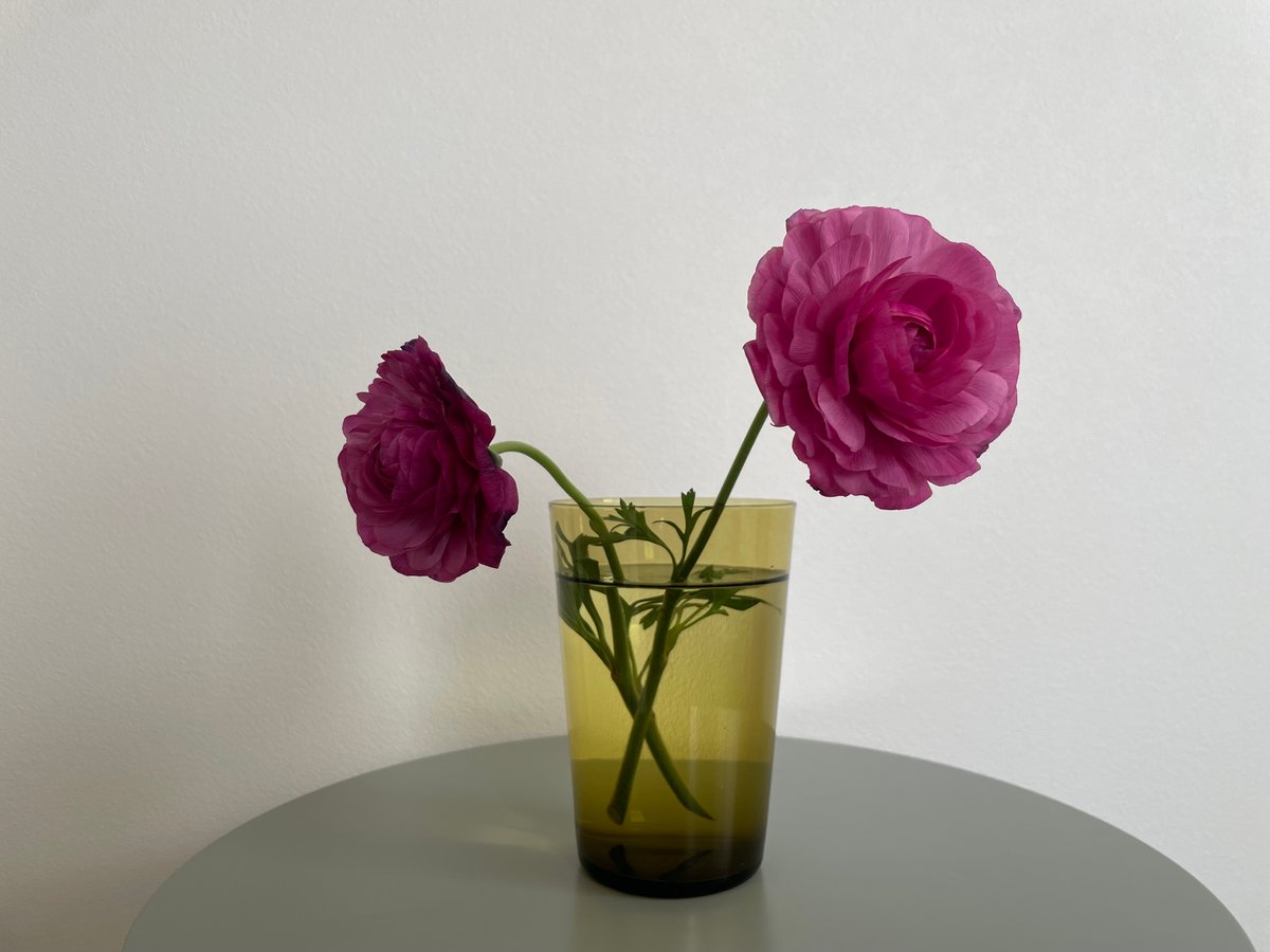 Kaj Franck カイフランク フラワーベース 花瓶 kf296gra