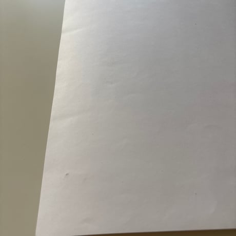 TIMO SARPANEVA Exhibition Poster 2015