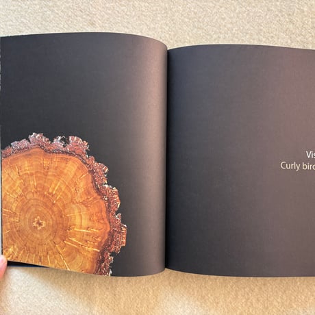 Curly Birch Visakoivu 洋書