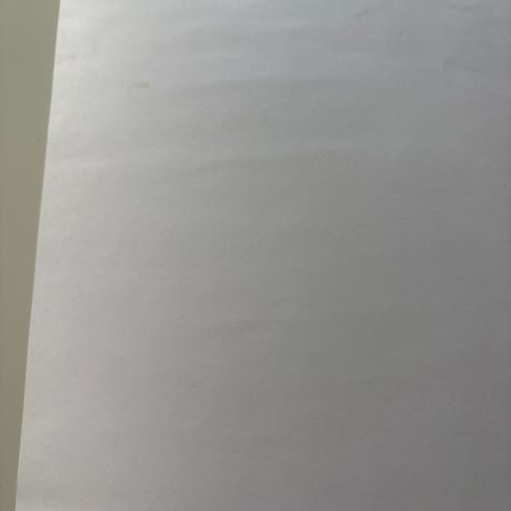 TIMO SARPANEVA Exhibition Poster 2015