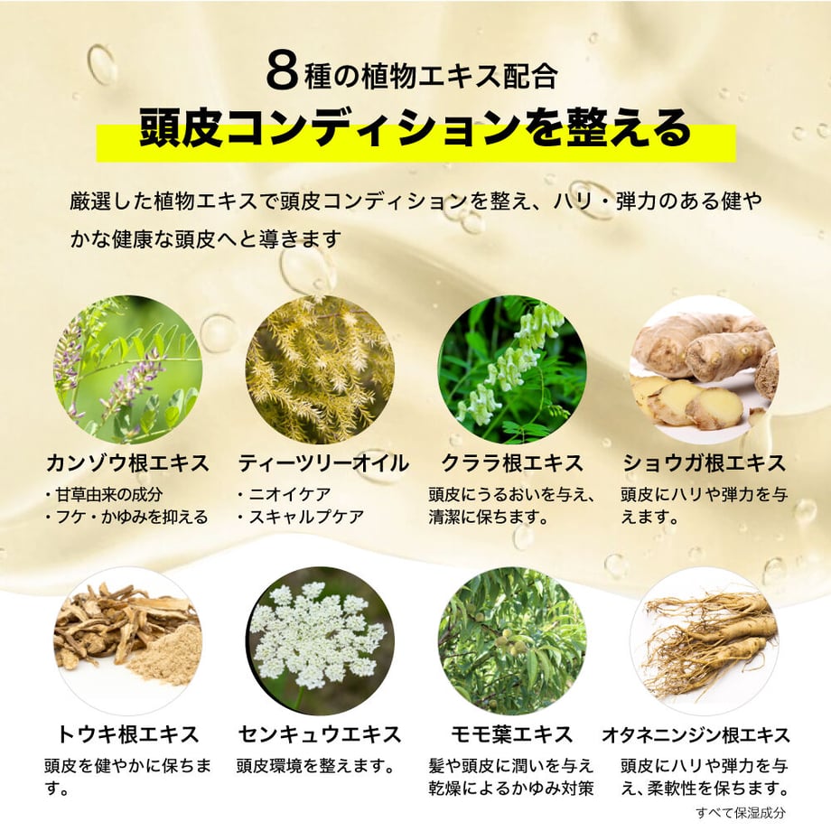 62a155be288b800449c194f2