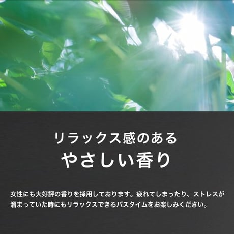 【定期購入】BULLTY スキャルプシャンプー 詰替用