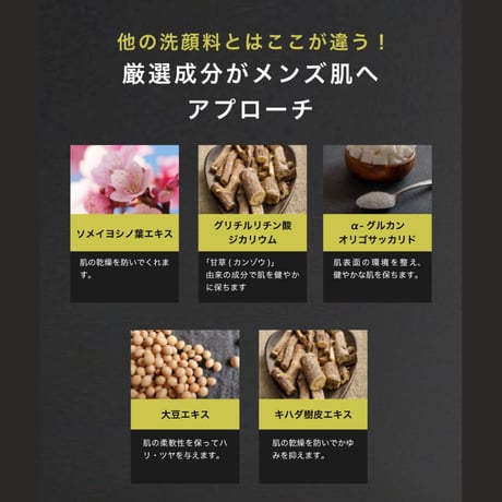 BULLTY フェイスウォッシュ詰替用