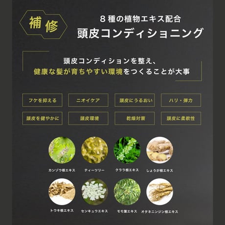 【定期購入】BULLTY スキャルプシャンプー 詰替用