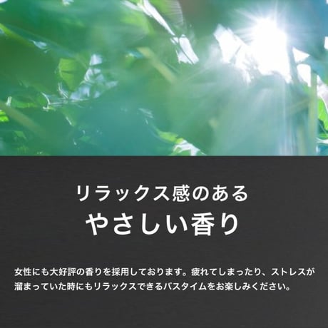 BULLTY スキャルプシャンプー詰替用
