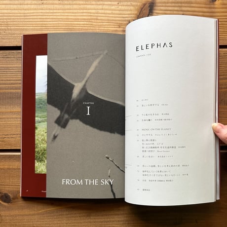 ELEPHAS #01