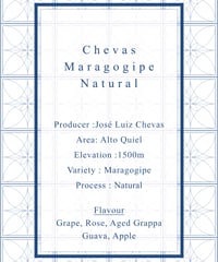 Chevas Maragogipe Natural
