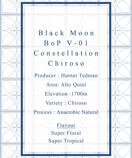 BoP Set (V-01 / GN-09 / GW-10)