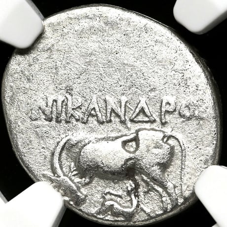 ローマ帝国 | STORES