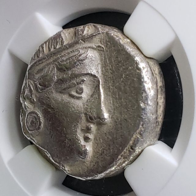 稀少!】古代 ギリシャ アテナ フクロウ アッティカ ギリシア