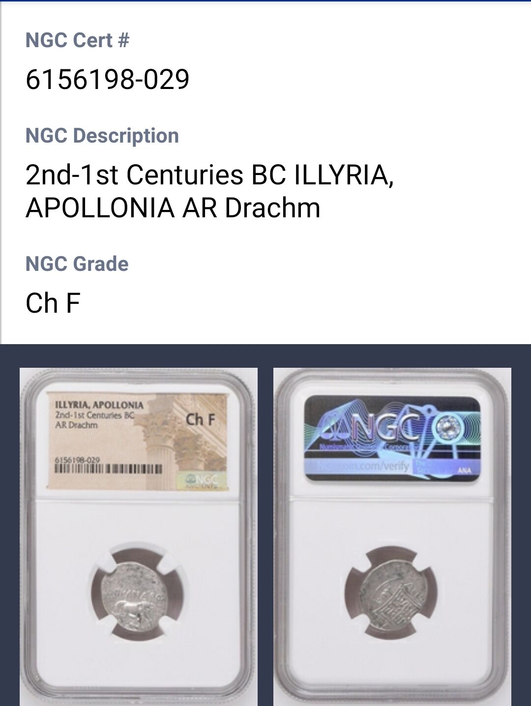 イリュリア　アポロニア　紀元前80/70〜48年頃　ドラクマ銀貨　古代 レア☆NGC鑑定品】 イリュリア 古代都市 アポロニア ドラクマ 銀貨