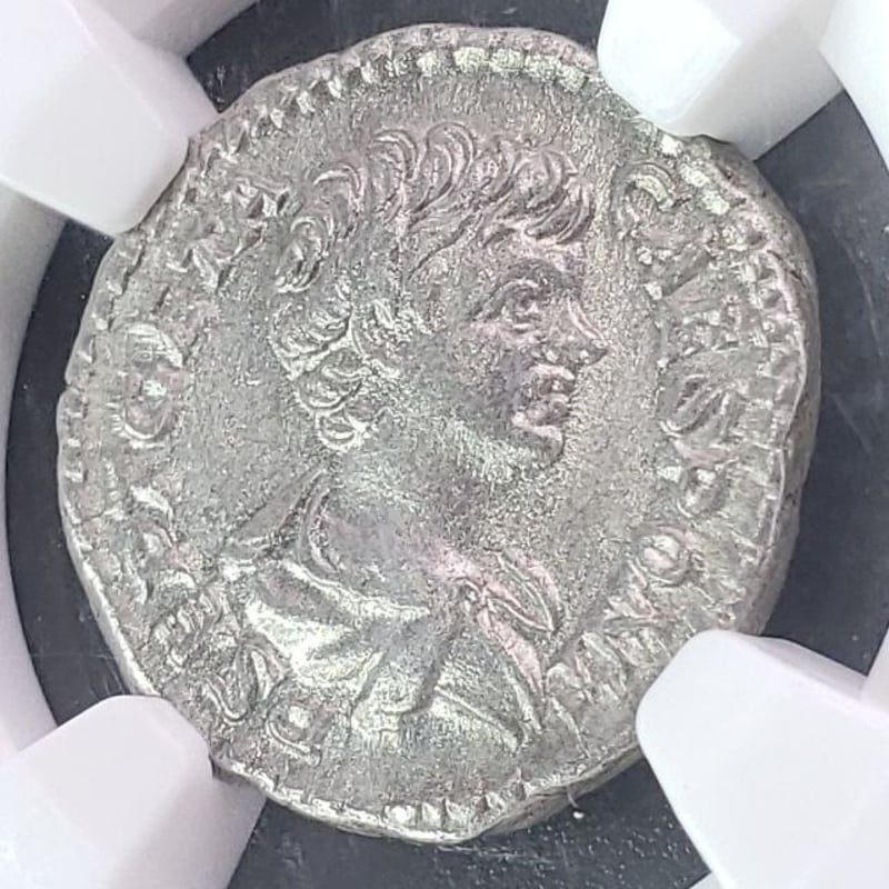 ローマ帝国　198-209　GETA, as Caesar　デナリウス貨@183 ローマ帝国 198-209 GETA, as Caesar デナリウス貨@183
