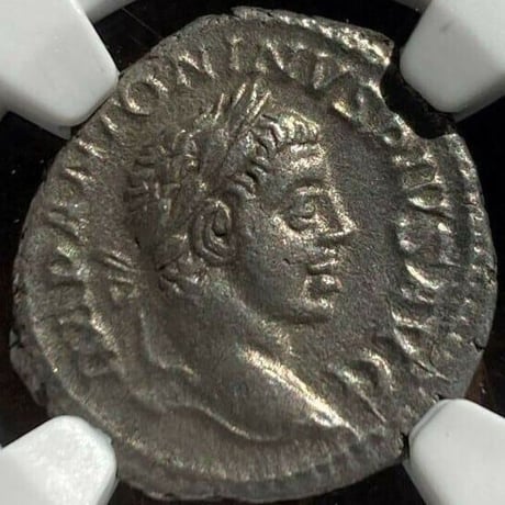 ローマ帝国 | STORES