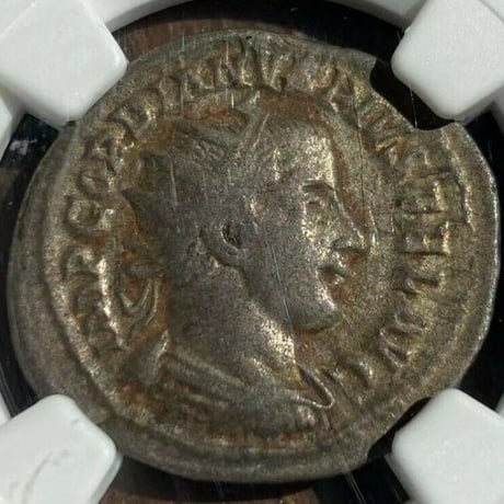 ローマ帝国 | STORES