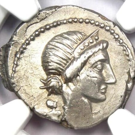 CATEGORY 古代ローマ | AncientCoinsFvn