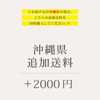 （沖縄県）追加送料