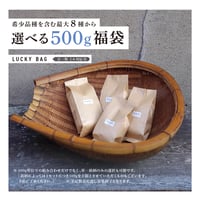 【希少銘柄を含む最大８種から選べる】500g福袋