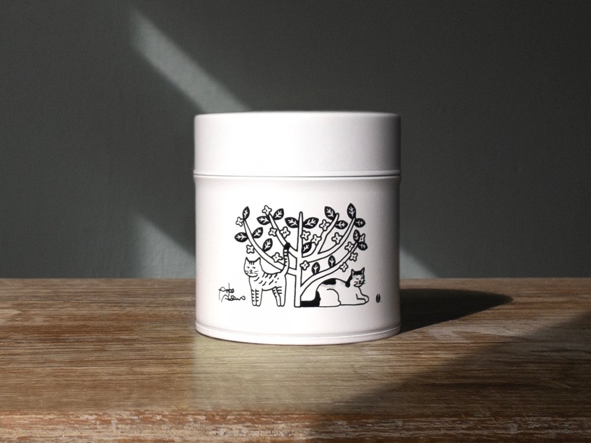 fit=scale-down,w=1200