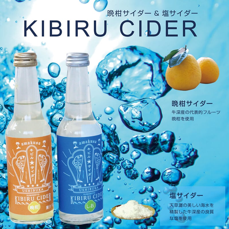 新スタンダード栄養・食物シリーズ　10冊セット 基礎栄養学 補訂版(新スタンダード栄養・食物シリーズ9) | 彩子