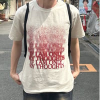 Ef Gradation Short Sleeve