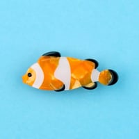 【Coucou Suzette】【ククシュゼット】  crownfish クマノミ hair clip