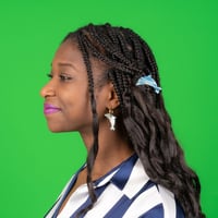 【Coucou Suzette】【ククシュゼット】  dolphin イルカ hair clip