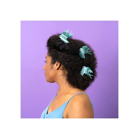Coucou Suzette  ククシュゼット swallow 燕 Hair claw